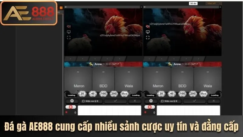 da-ga-ae888-cung-cap-nhieu-sanh-cuoc-uy-tin-va-dang-cap