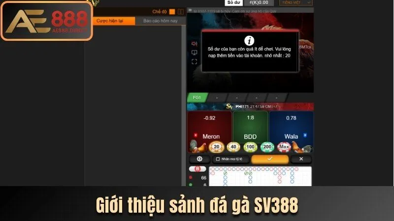 Giới thiệu sảnh đá gà SV388