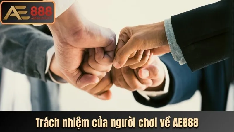 Trách nhiệm của người chơi về AE888