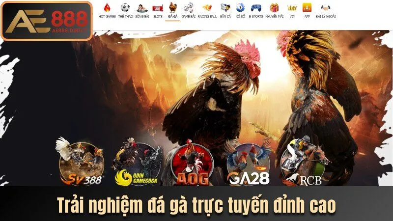 trai-nghiem-nhung-tran-dau-da-ga-truc-tuyen-dinh-cao